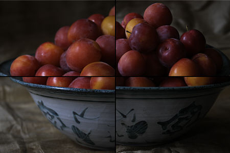 plums-quad-4501.jpg