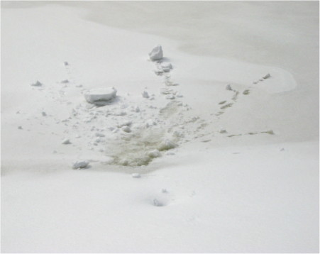thrown-snow-on-pond-processed-3-14-08.jpg